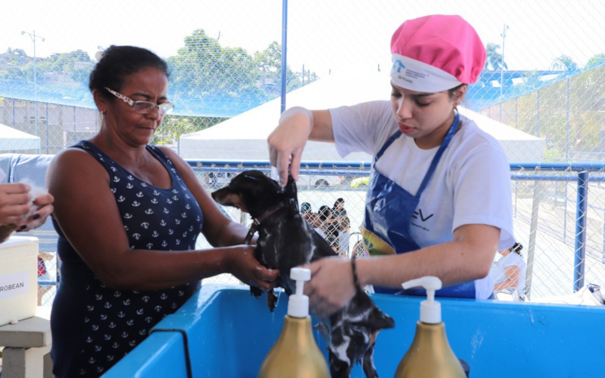 Na a&ccedil;&atilde;o foram realizados 1.531 atendimentos