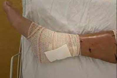 Triatleta é atacado por pitbulls e leva mais de 50 mordidas durante treino de corrida em São Paulo 