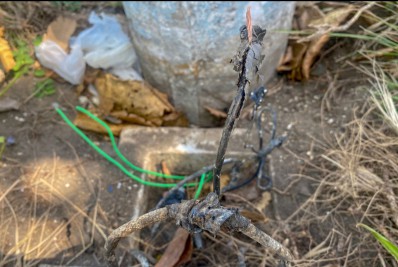 Vandalismo em pontos de iluminação pública deixa ruas às escuras e moradores expostos a assalto