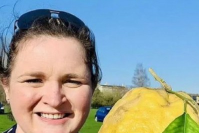 Mulher encontra limão siciliano gigantesco na Inglaterra