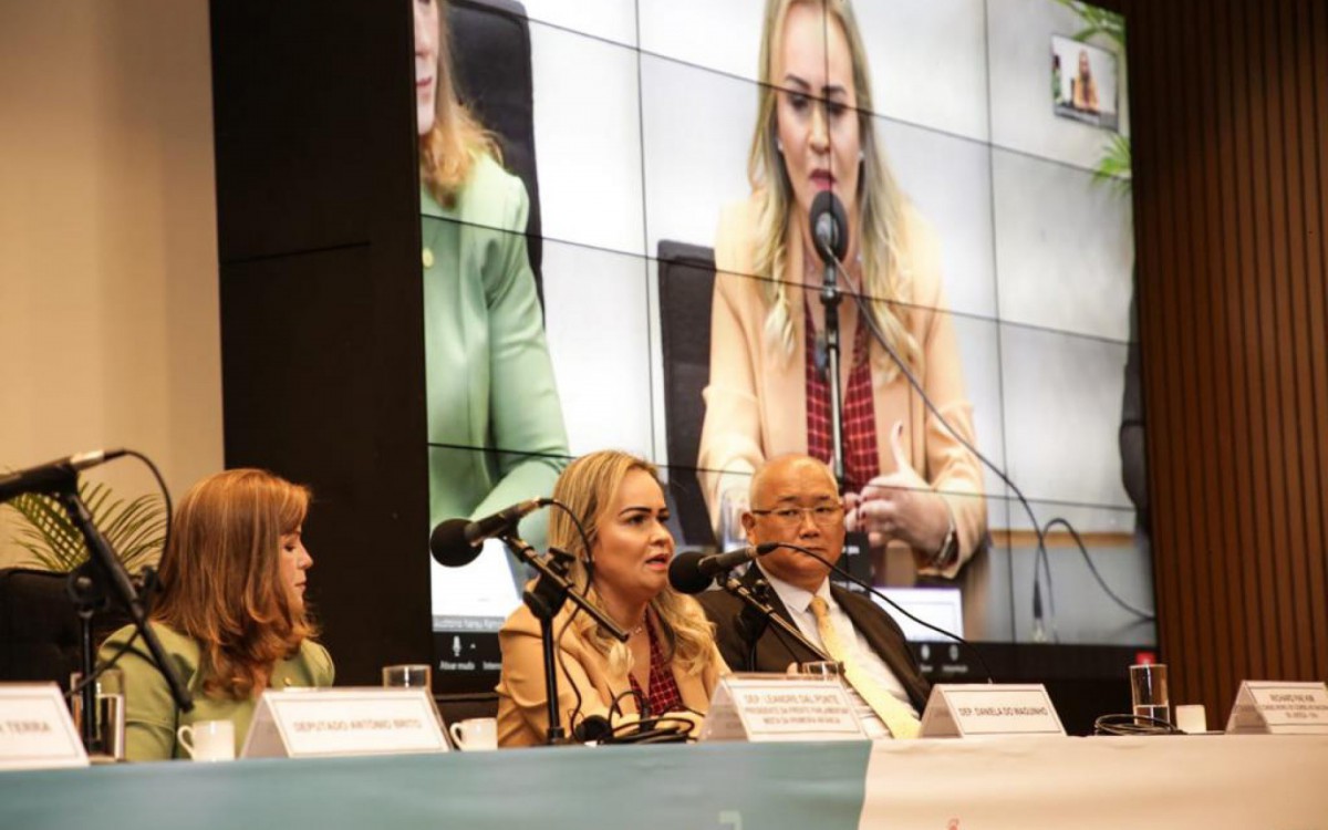 Deputada Daniela do Waguinho preside discuss&otilde;es para melhorar as pol&iacute;ticas p&uacute;blicas em benef&iacute;cio de crian&ccedil;as de 0 a 6 anos de idade