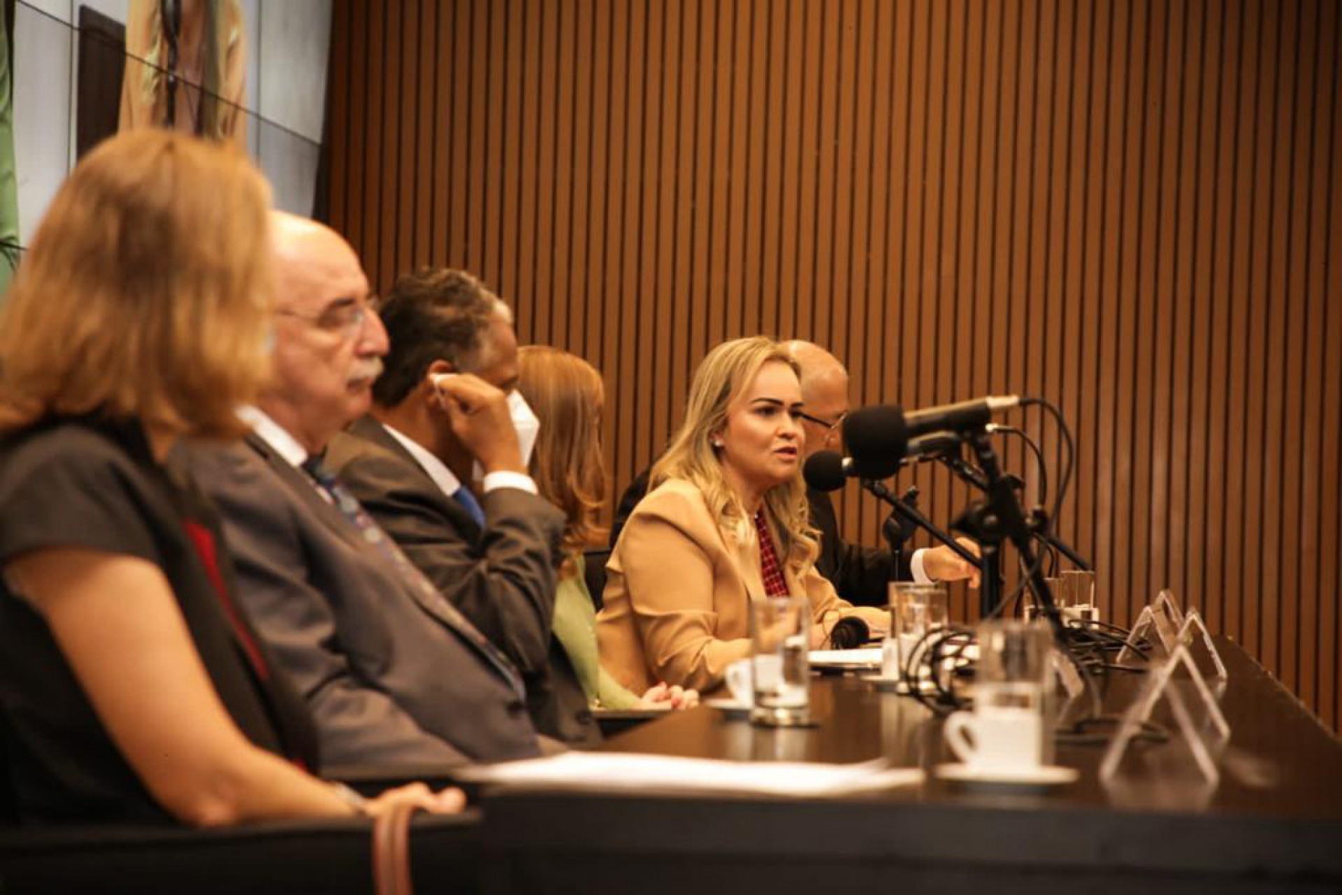 A deputada federal Daniela do Waguinho no 8&ordm; Semin&aacute;rio Internacional do Marco Legal da Primeira Inf&acirc;ncia, em Bras&iacute;lia (DF) - Divulga&ccedil;&atilde;o