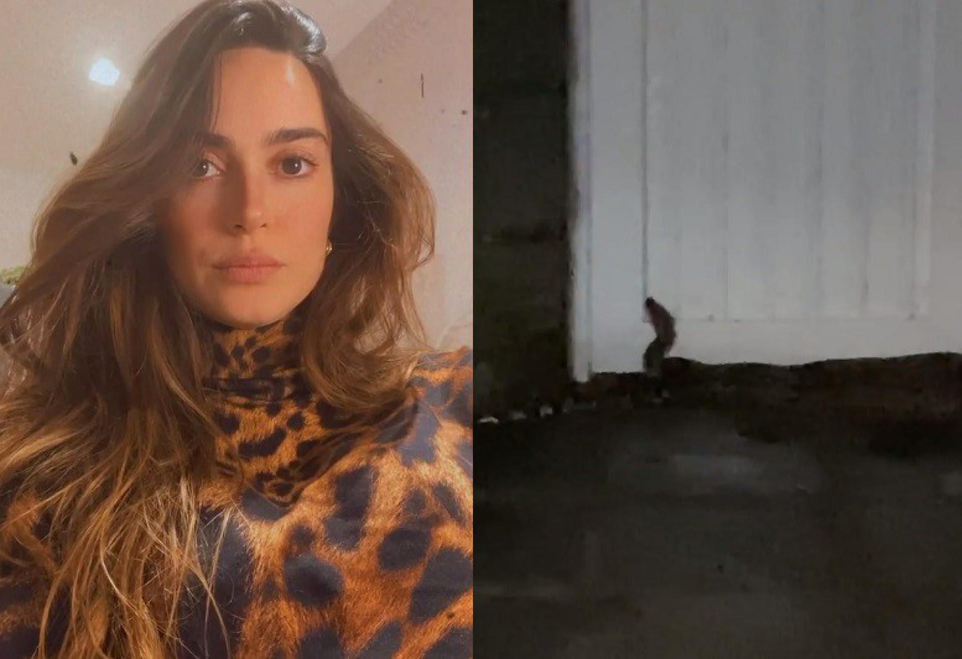 Thaila Ayala encontra cobra em sua casa - reprodução do instagram