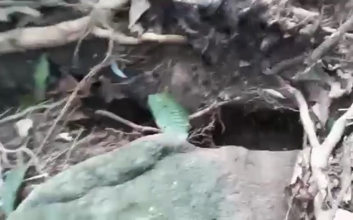Na Praia do Provet&aacute;, moradores registraram as rachaduras na terra no lato de um morro