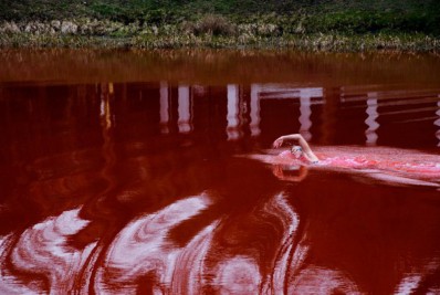 Ex-Flamengo protesta contra a Rússia com nado em 'lago de sangue'