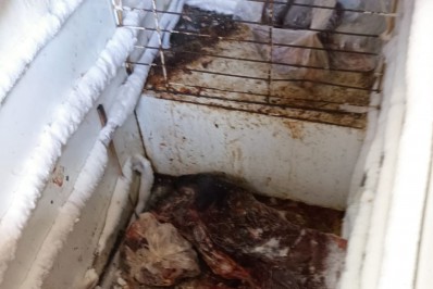 Mais de 1.700 quilos de produtos impróprios para consumo humano apreendidos em quatro meses