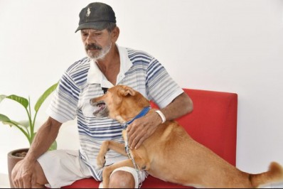 Morador de Bambuí de 73 anos teve a casa alagada e perdeu seu vira-lata, que fugiu pelas ruas após a enchente