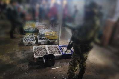 Policiais apreendem quase 70 kg de pescado ilegal em São Gonçalo