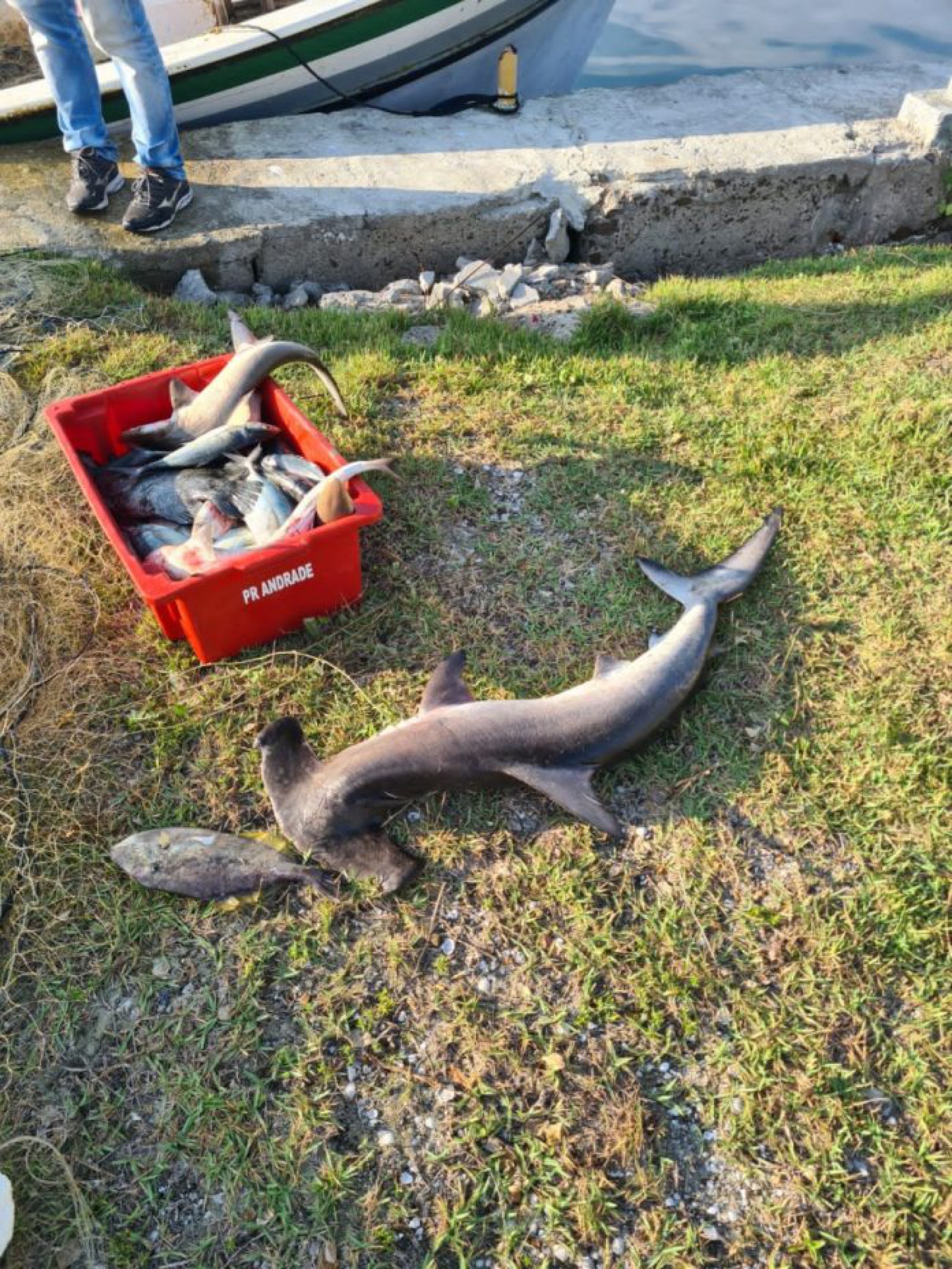 PF e ICMBio deflagram operação Camarão em Arraial do Cabo - Aremac