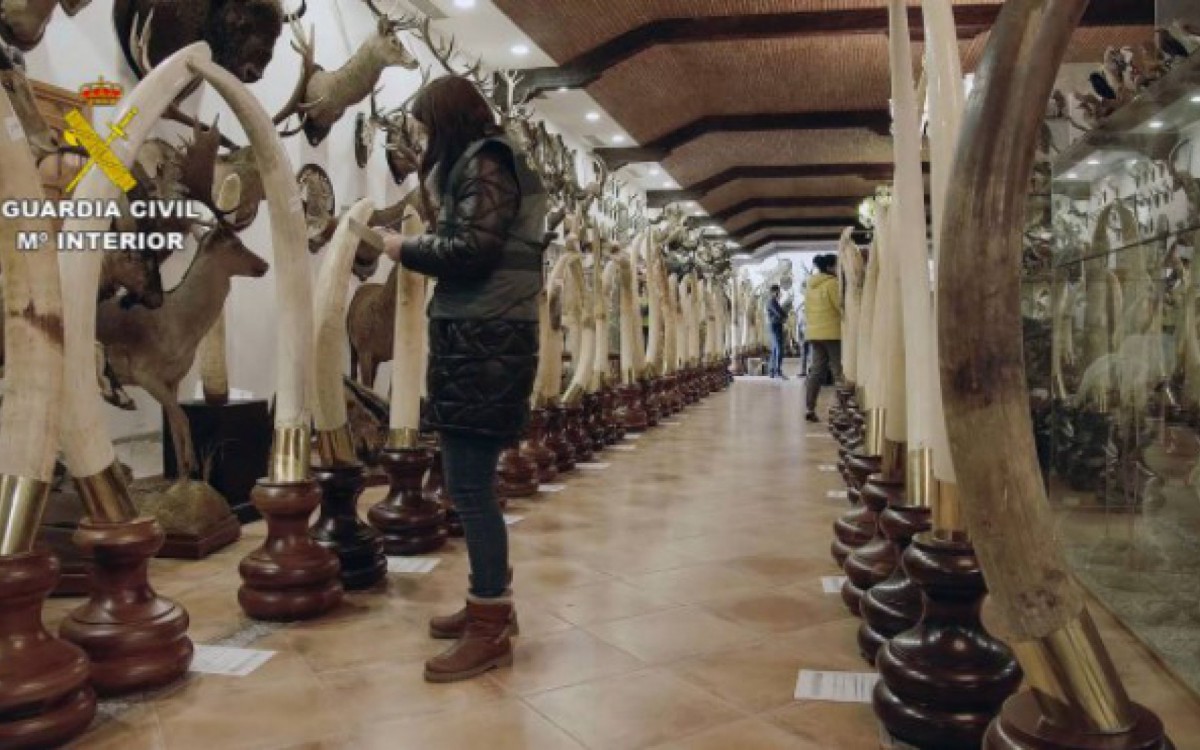 Acervo foi localizado na quinta-feira - AFP