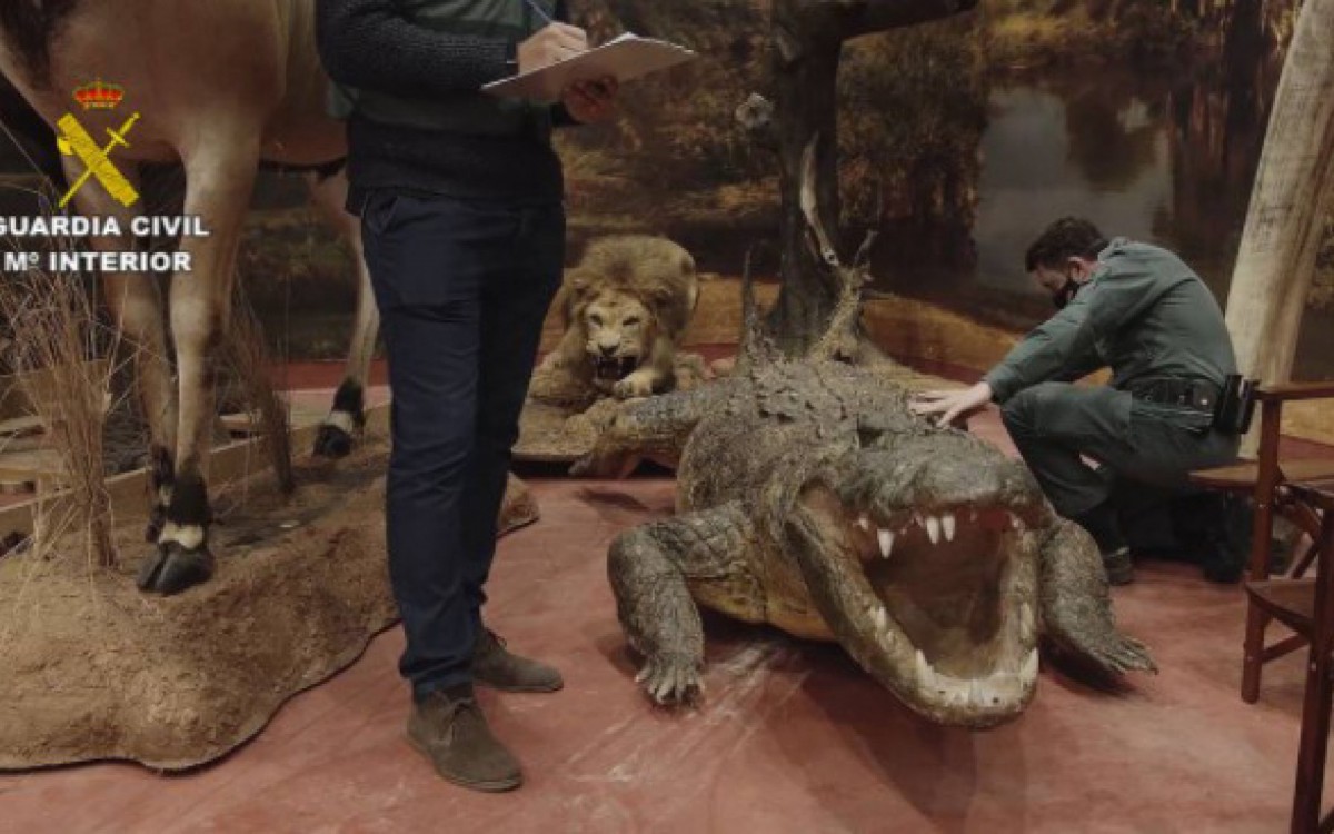 Acervo foi localizado na quinta-feira - AFP