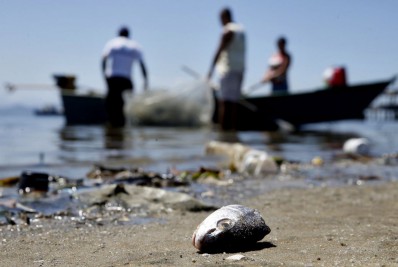 Projeto de SP prevê pagamento a pescadores por coleta de lixo no mar