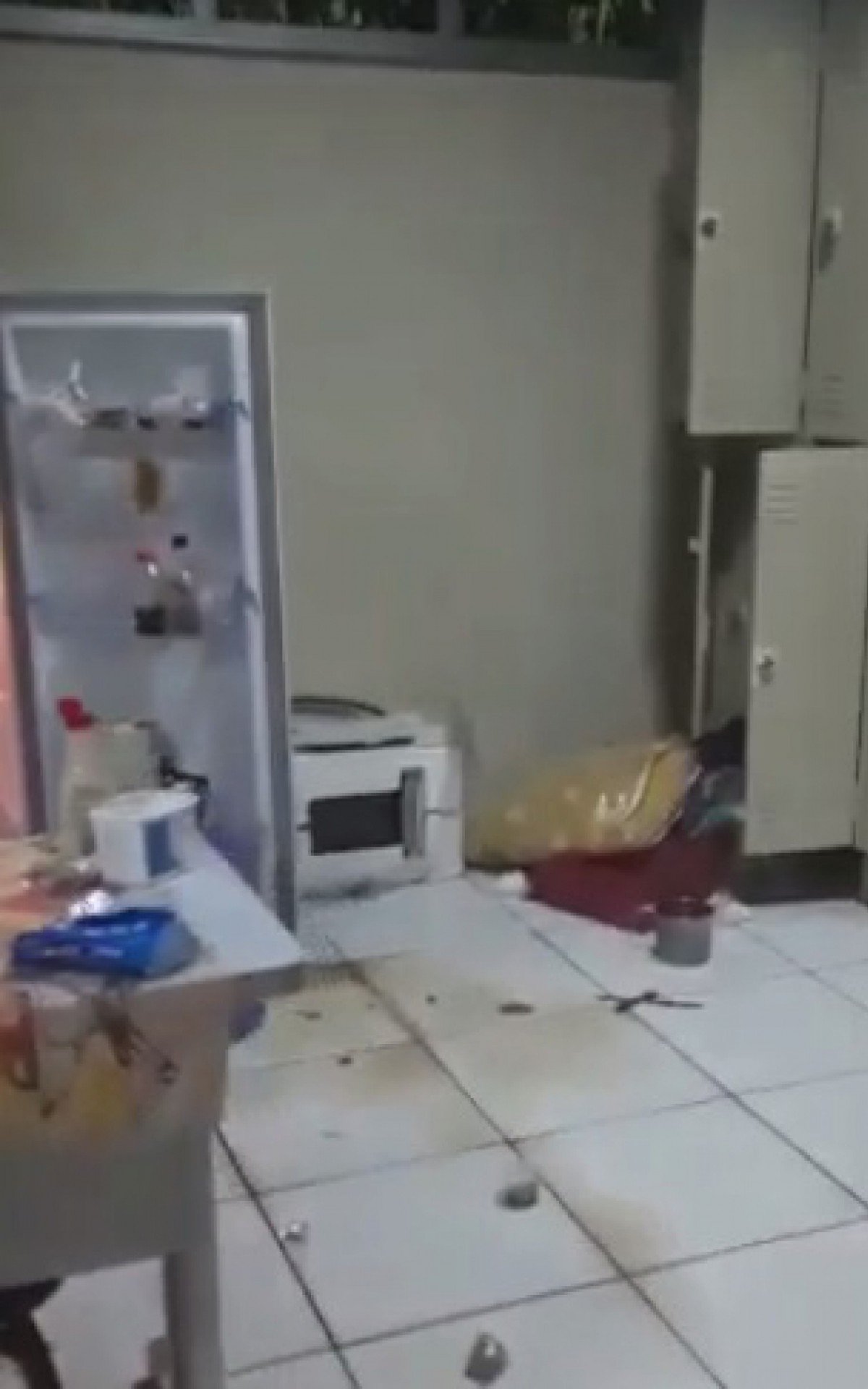 Cozinha ficou completamente bagunçada após invasão - Reprodução