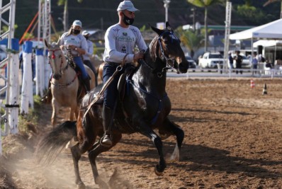 Agora é Lei: Casimiro de Abreu é a ¨Capital Estadual do Cavalo¨