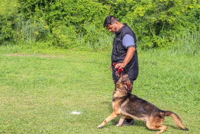 Dupla maricaense se destaca em prova de adestramento do Rio