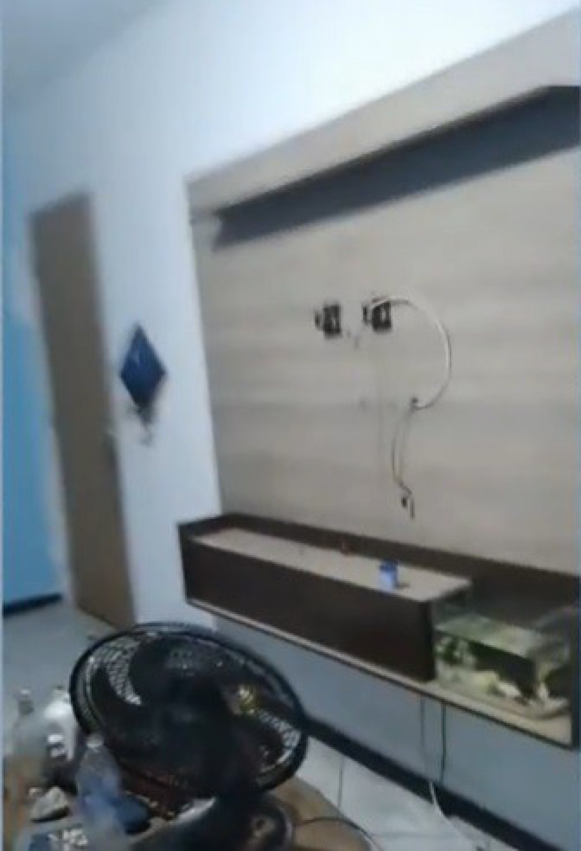 TV, relógio, dinheiro em espécie e outros itens de valor foram levados pelos criminosos - Reprodução/TV Globo