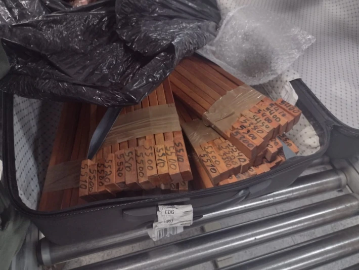 Empresário é preso ao tentar embarcar para a Inglaterra com 234 peças de pau-brasil - Divulgação Polícia Federal