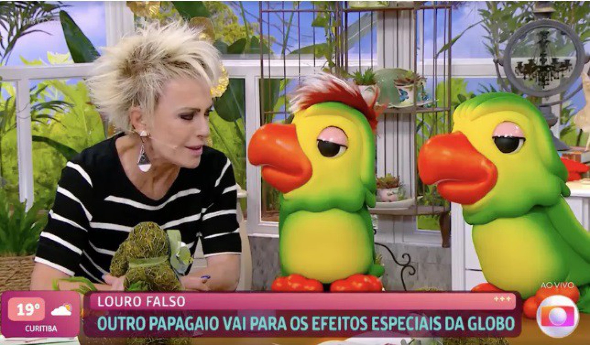 Ana Maria Braga abre exame de DNA dos papagaios  - Reprodução/Gshow