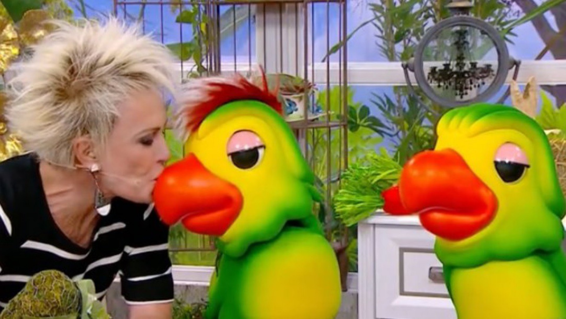 Ana Maria Braga abre exame de DNA dos papagaios  - Reprodução/Globo