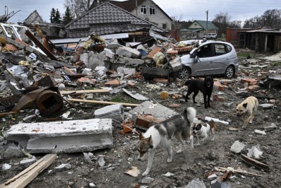 Ucrânia alerta para nova ofensiva de forças russas no leste