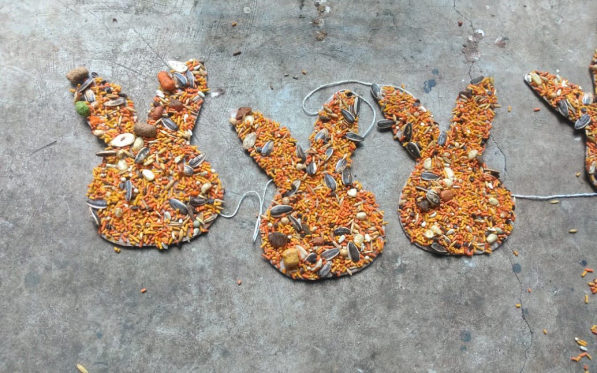 Alimentos com tema de P&aacute;scoa foram dados a p&aacute;ssaros, primatas, felinos e outros
