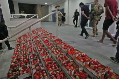 Apreensão de cocaína em mangas anulada: confira decisões de casos similares