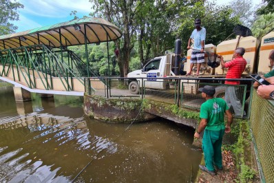 Lago do Zoológico de Volta Redonda recebe 300 quilos de tilápia