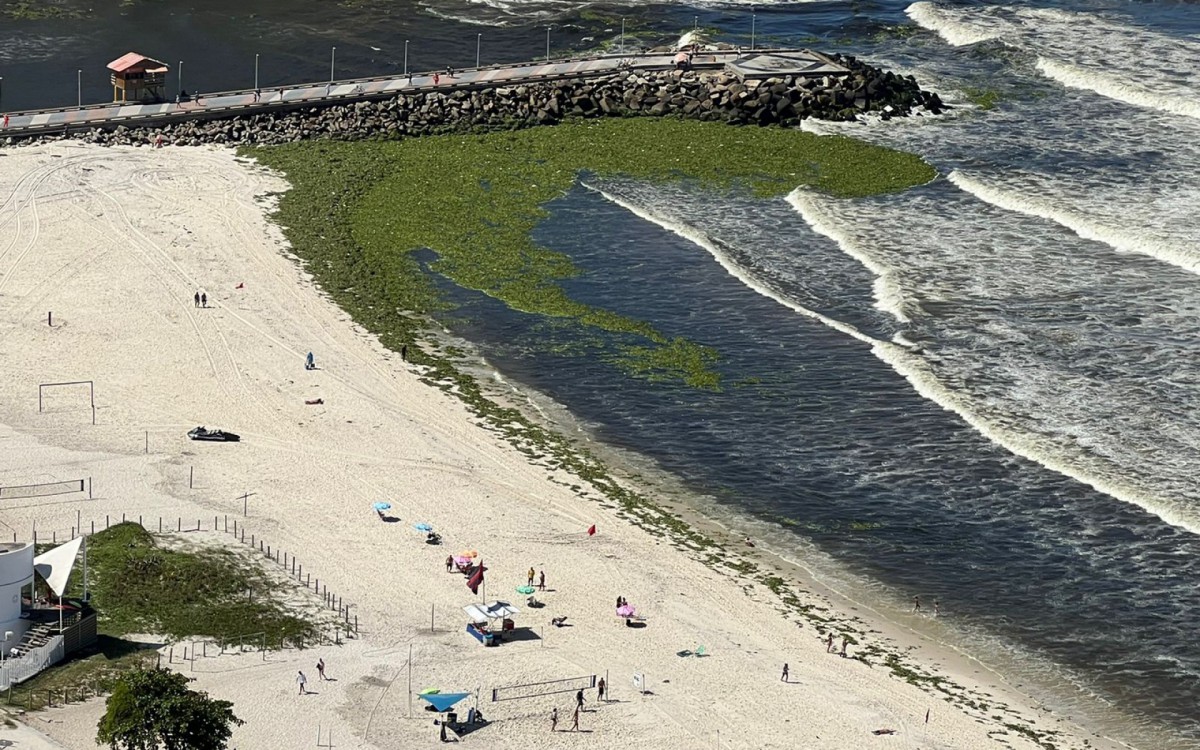 Gigogas tomam conta do espelho d'&aacute;gua da Praia da Barra da Tijuca