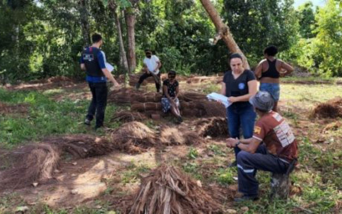 Grupo de Fiscaliza&ccedil;&atilde;o resgata 16 em situa&ccedil;&atilde;o an&aacute;loga &agrave; escravid&atilde;o na Bahia
