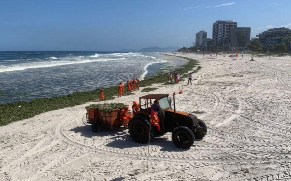Cerca de 60 toneladas de plantas e lixo estão sendo retirados da Praia da Barra - Divulgação / Comlurb