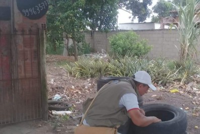 'Todos nós somos grupos de risco', aponta secretário de saúde após aumento dos casos de dengue no estado