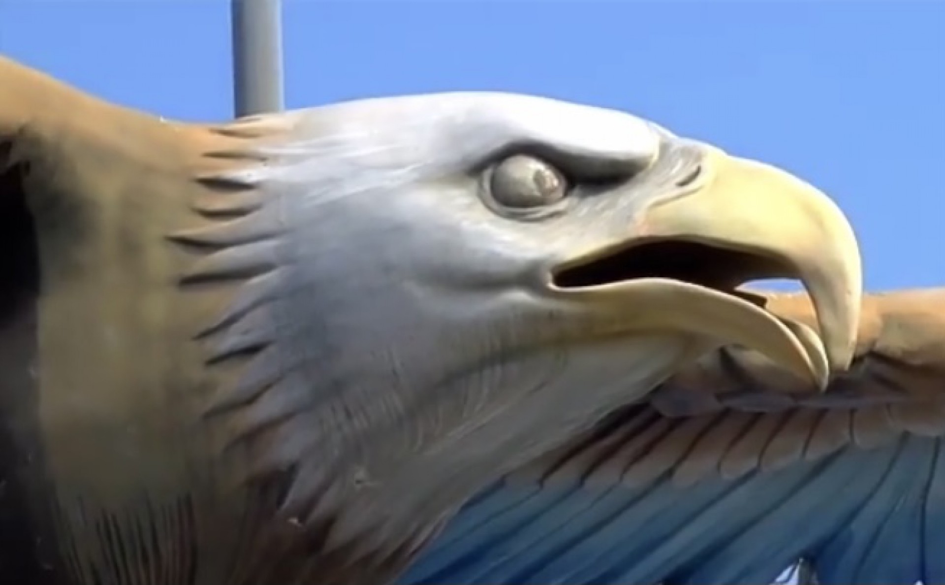 Portela solta um 'spoiler' do canto da águia nas redes sociais - Reprodução / Instagram