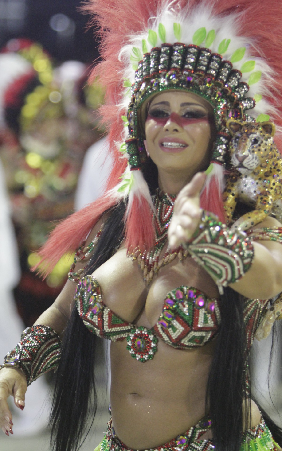 GRES Acad&Atilde;&ordf;micos do Salgueiro - Desfile na Marqu&Atilde;&ordf;s de Sapuca&Atilde;&shy;, neste primeiro dia do Grupo Especial nesta Sexta-feira(22). Foto: Marcos Porto/Agencia O Dia