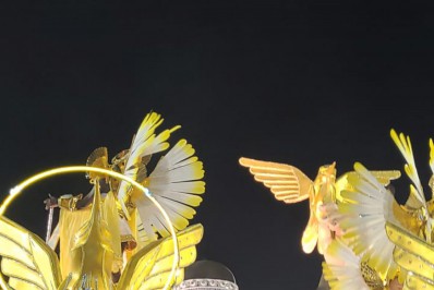 Laila é homenageado em último carro dedicado à memória de intelectuais negros