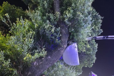 Paraíso do Tuiuti: carro de astronautas da Nasa tem problema após ficar preso em árvore