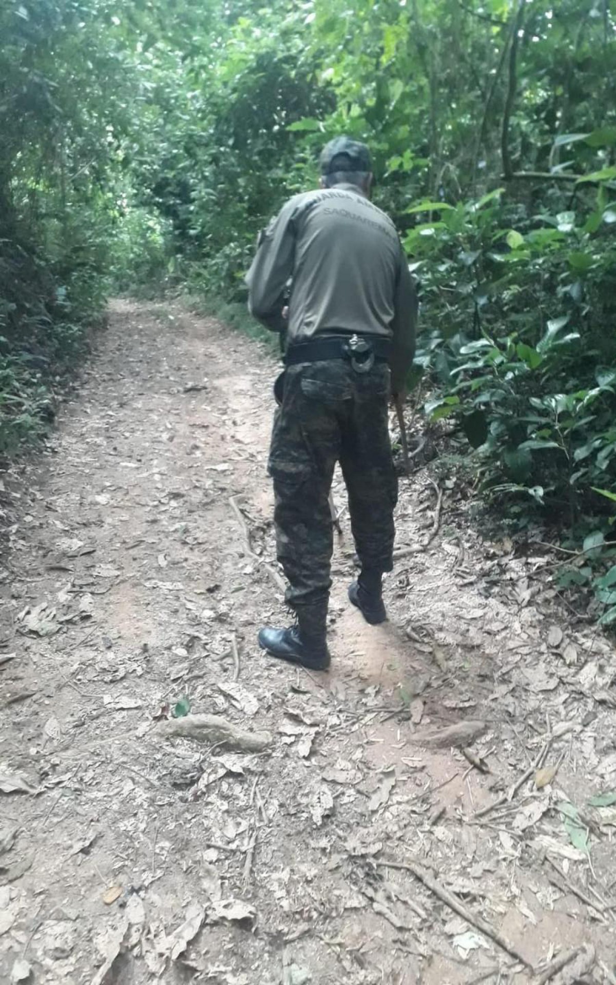 Jiboia de mais de um metro &eacute; resgatada em Saquarema