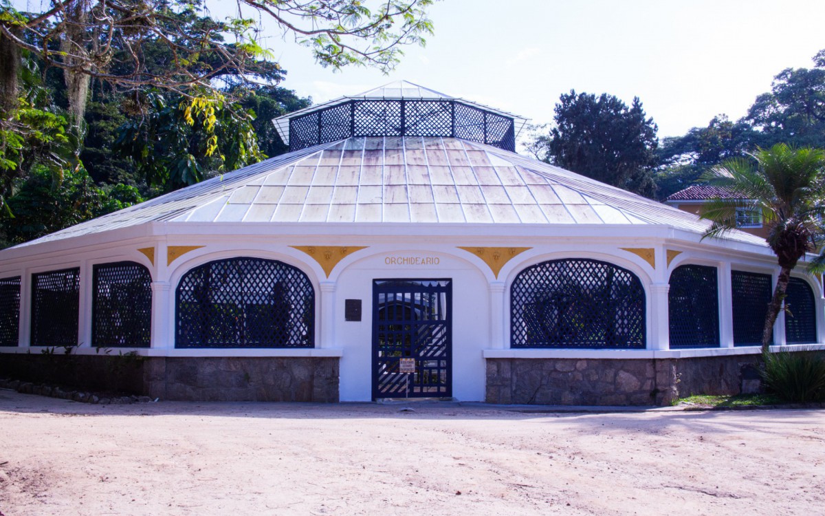 Orquidário do Jardim Botânico do Rio de Janeiro será reaberto após dois anos fechado - Divulgação / Orquidário JBRJ
