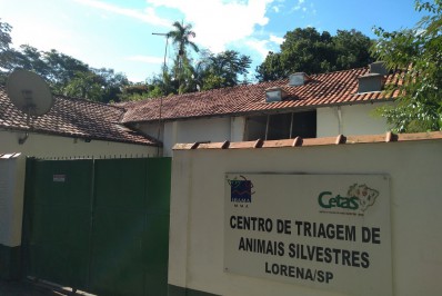 MPF denuncia Ibama e ex-dirigentes por maus tratos a 900 animais silvestres no Rio