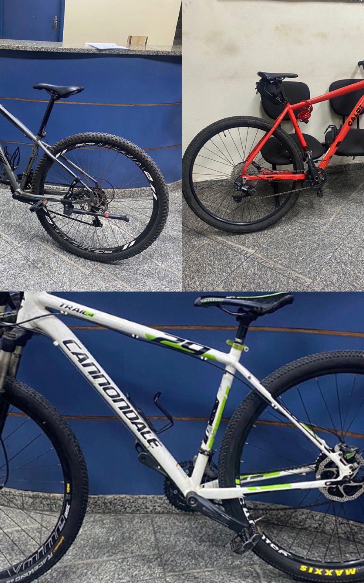 Bicicletas foram avaliadas em mais de 12 mil reais