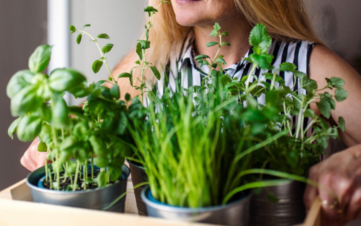 Horta em casa