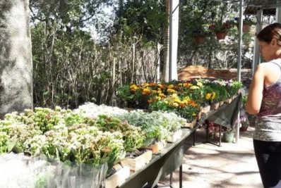 Horto Municipal de Cabo Frio recebe nova edição da Expo Orquídeas & Plantas Ornamentais