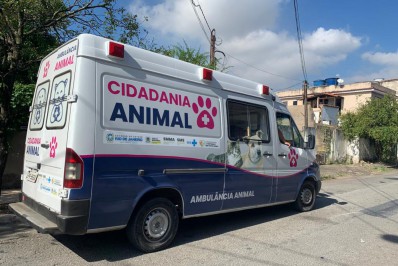 'Cidadania Animal': programa de Volta Redonda realiza a castração de cães e gatos