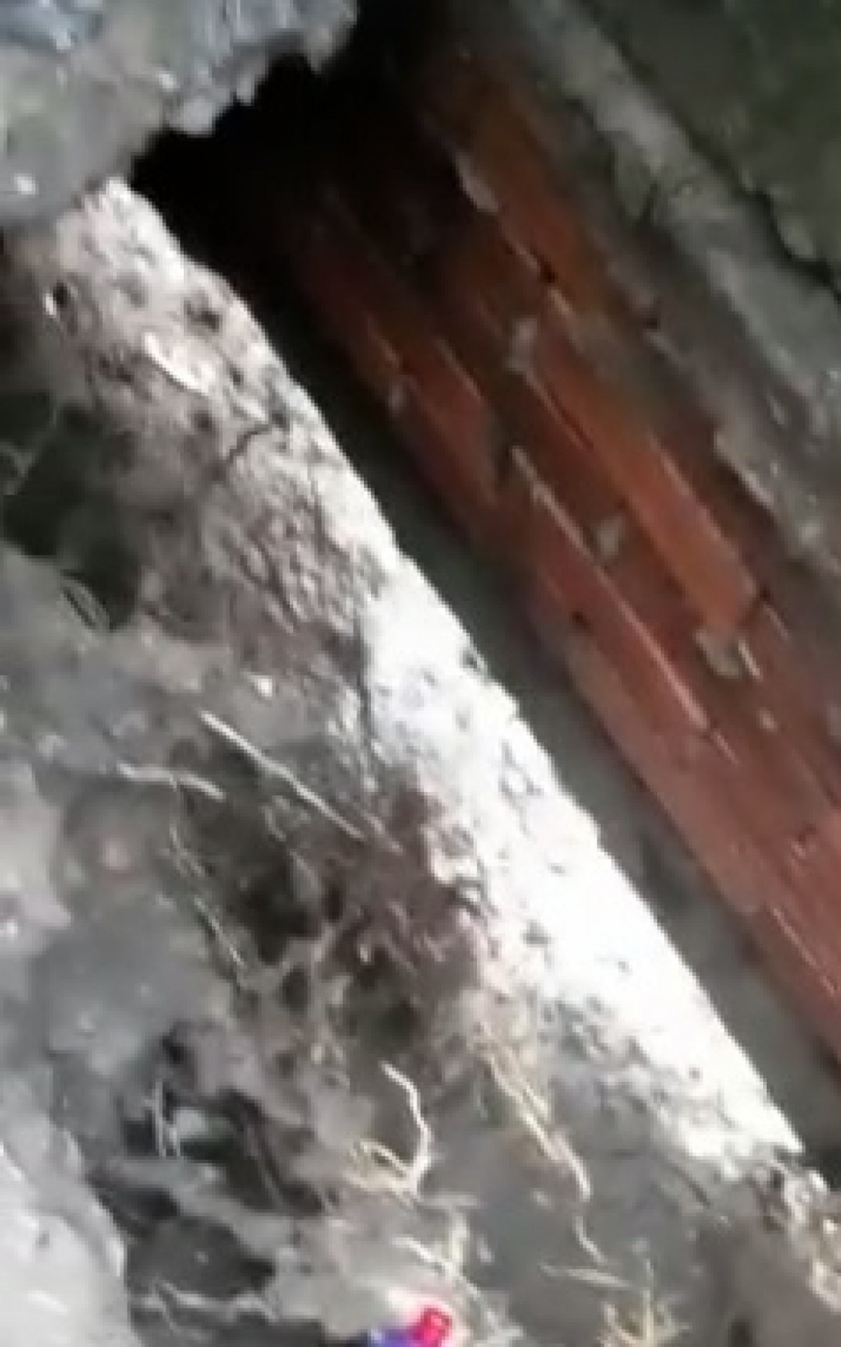 Moradora mostrou estragos em sua casa provocados pela chuva