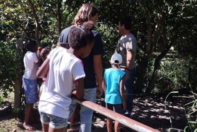 Centro de Educação Ambiental expõe perspectivas da preservação a quem visita o parque