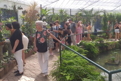 Orquidário do Jardim Botânico do Rio é reaberto ao público neste domingo