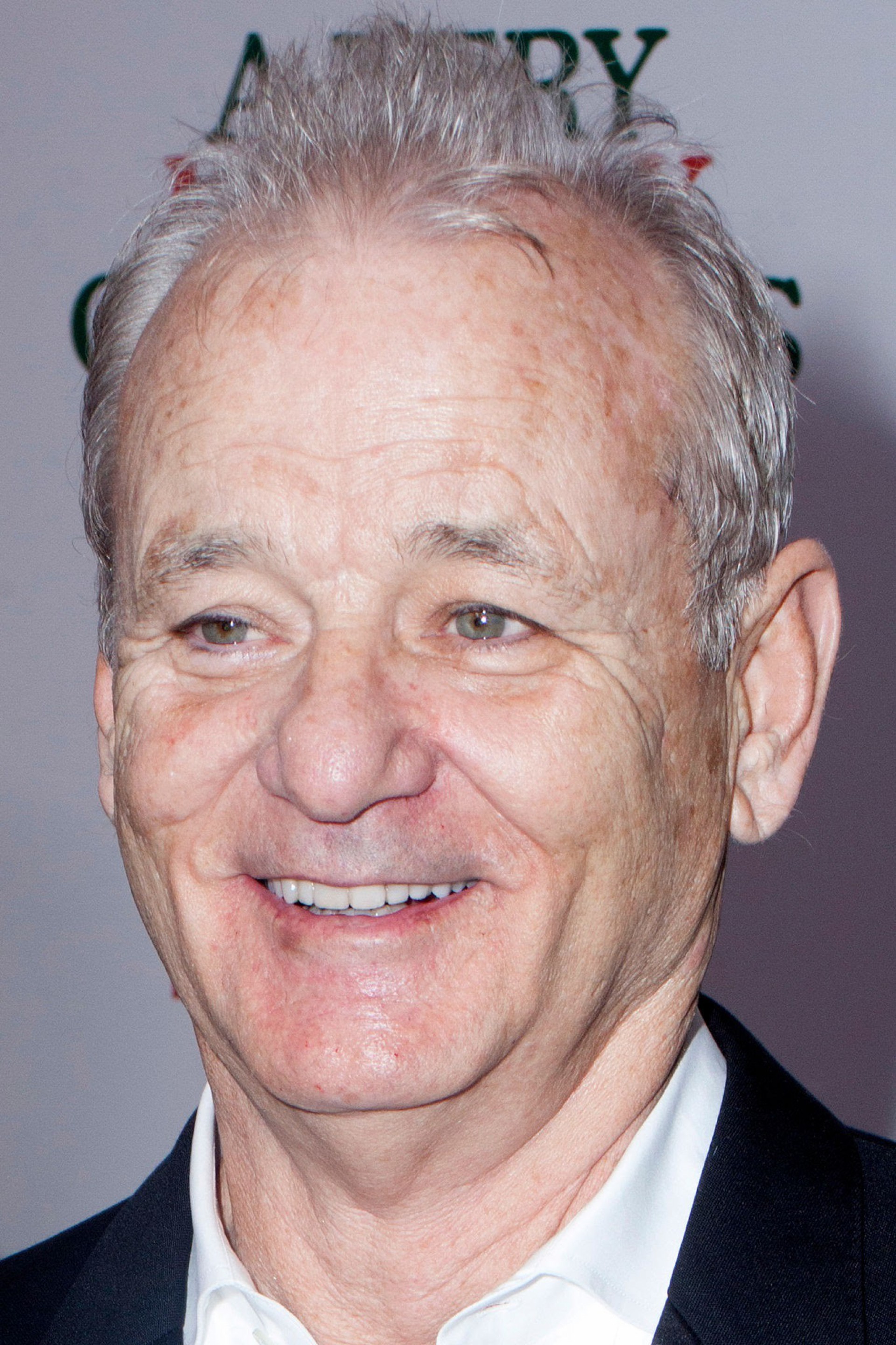 Bill Murray fala sobre atitude polêmica em set de filmagem - FilmMagic / Santiago Felipe 