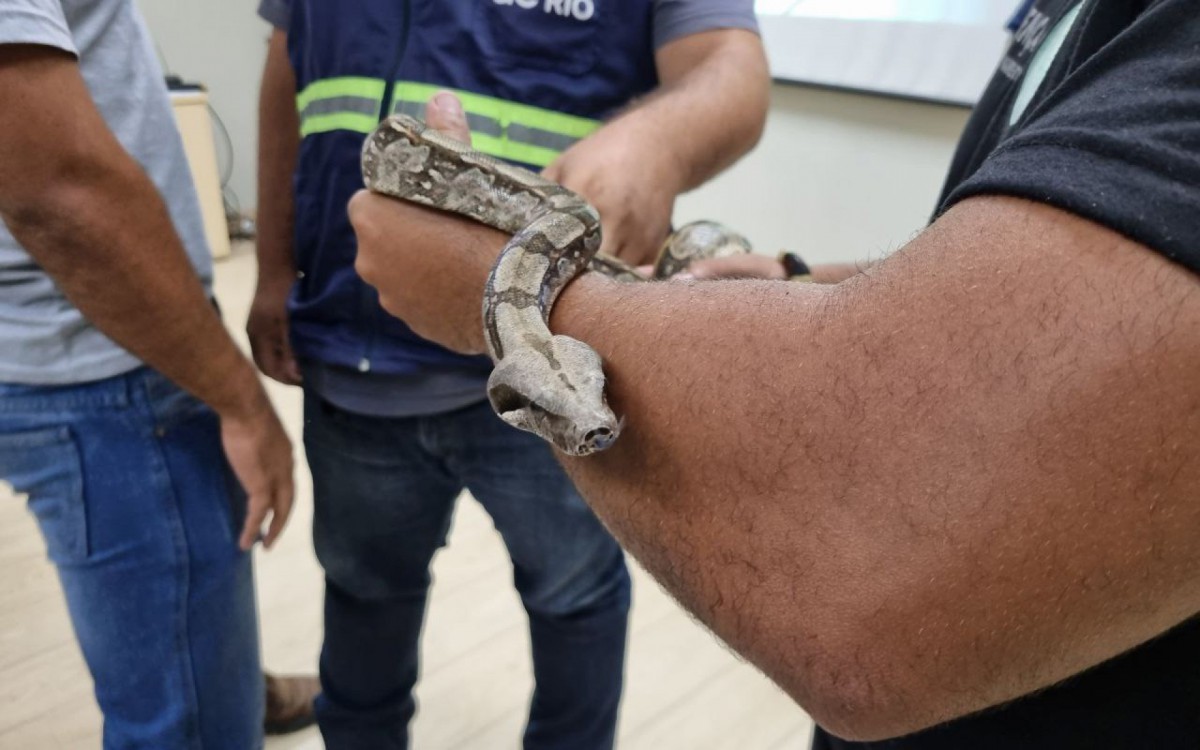 &Aacute;guas do Rio realiza treinamento sobre manejo com animais pe&ccedil;onhentos - Divulga&ccedil;&atilde;o