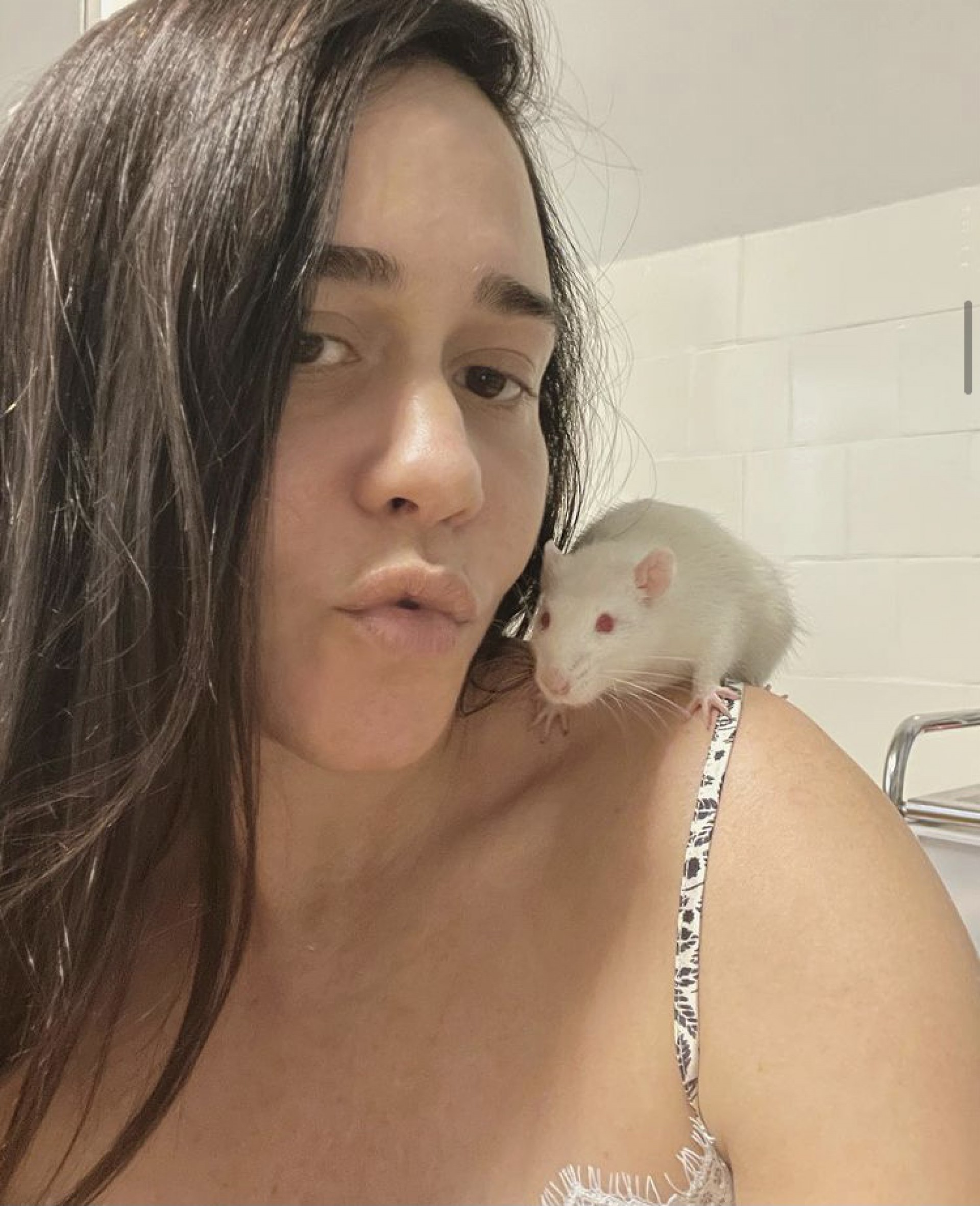 Alessandra Negrini choca internautas ao mostrar seu novo rato de estimação - Reprodução / Instagram