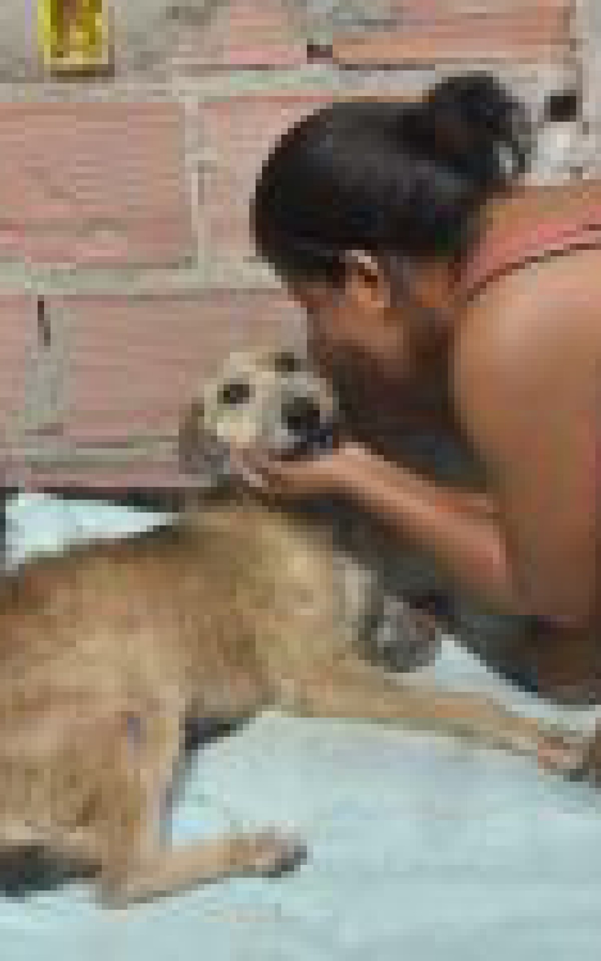 C&aacute;ssia reencontrou sua companheira Mel depois de quatro meses