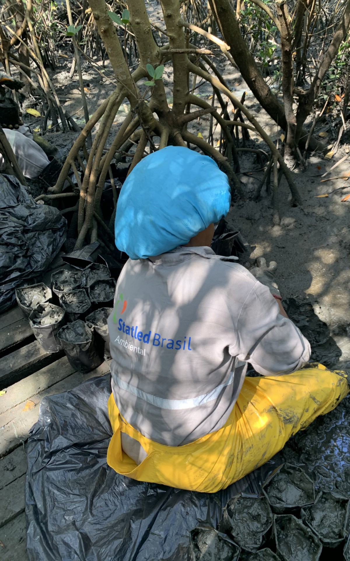 M&aacute;rio Moscatelli lidera uma equipe na recupera&ccedil;&atilde;o do manguezal de Gramacho